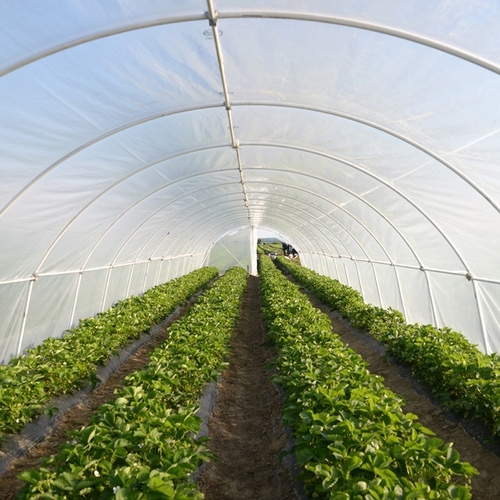 Woven Greenhouse Covers J&M Industries, Inc.